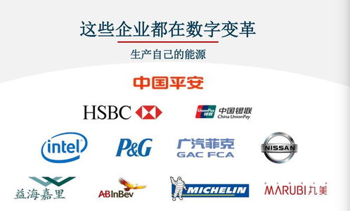 對(duì)標(biāo)Adobe，Nequal如何以數(shù)據(jù)與技術(shù)雙引擎賦能企業(yè)智慧商業(yè)